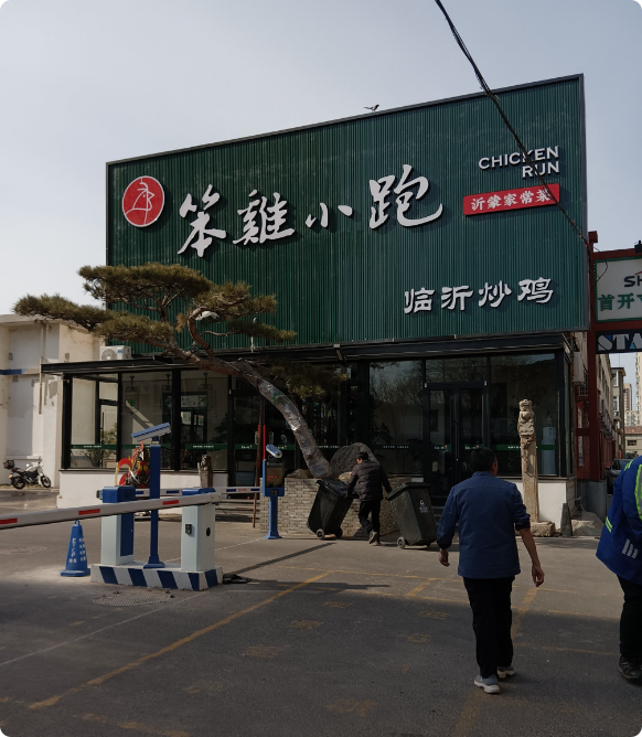 笨鸡小跑